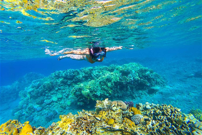 Snorkeling à Koh Tao - Une aventure inoubliable en Thaïlande