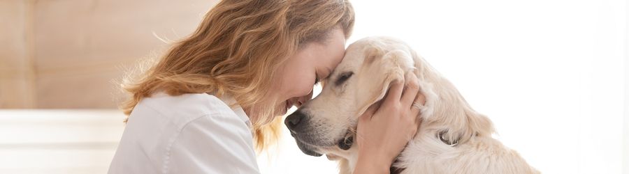 Explorez la Thaïlande sans vous séparer de votre chien ou de votre chat grâce à des hébergements adaptés
