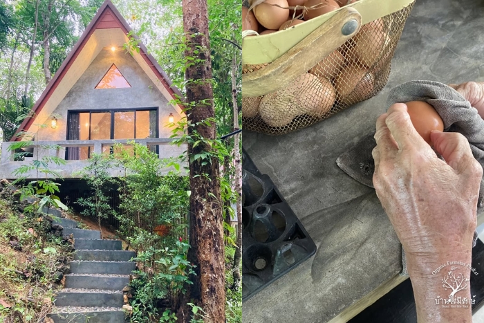 Baan Rai Me Rak Organic Farmstay