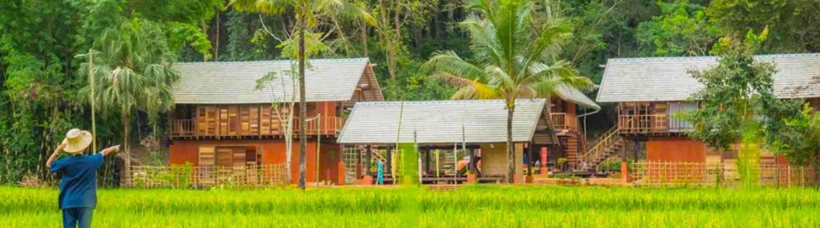 Agritourisme en Thaïlande : une façon durable de voyager