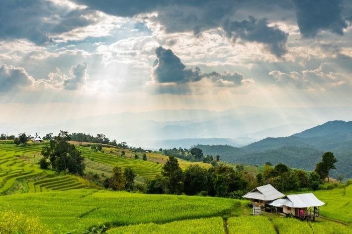 Les campagnes tha&iuml;landaises deviennent un terrain privil&eacute;gi&eacute; pour un tourisme plus immersif