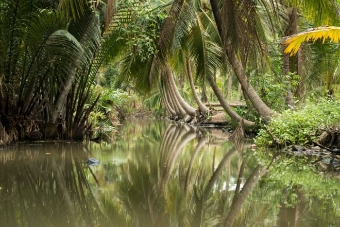 D&eacute;couvrez les cocotiers et vergers qui fa&ccedil;onnent Samut Songkhram