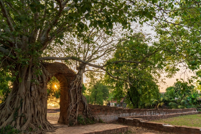 La lumi&egrave;re dor&eacute;e du coucher de soleil illumine les ruines du Wat Phra Ngam