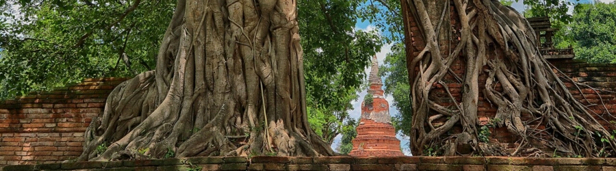 Wat Phra Ngam : la myst&eacute;rieuse &laquo; Porte du Temps &raquo; d'Ayutthaya