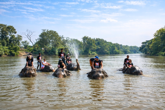 Que faire à Ayutthaya quand il fait chaud ? Baignade avec les éléphants dans la rivière