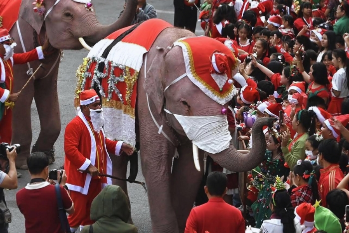 Festival des éléphants - un des fêtes et événements incontournables à Ayutthaya