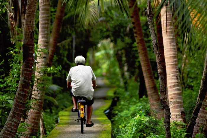Bang Krachao – le poumon vert de Bangkok