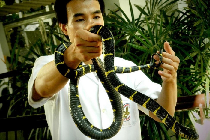 Ferme aux serpents de Queen Saovabha