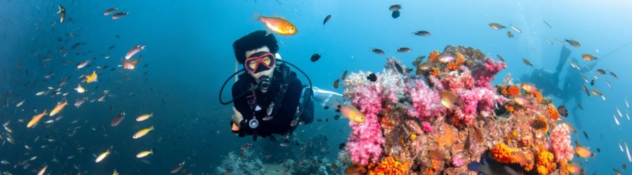 Meilleurs spots de plong&eacute;e et de snorkeling en Tha&iuml;lande
