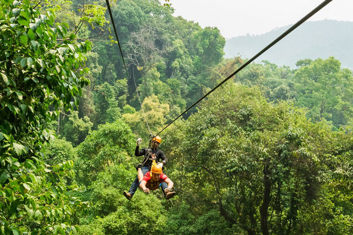 Une aventure exaltante de tyrolienne à travers la forêt tropicale