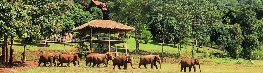 10 jours à Chiang Mai: que faire et que voir?