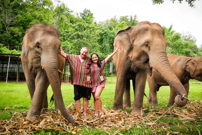 Chiang Mai - Elephant Jungle Sanctuary