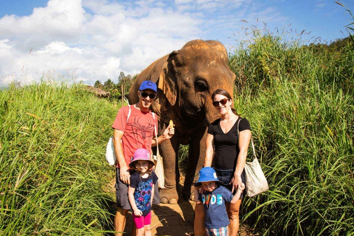 Elephant Nature Park