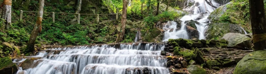  La cascade de Mae Kampong à Chiang Mai