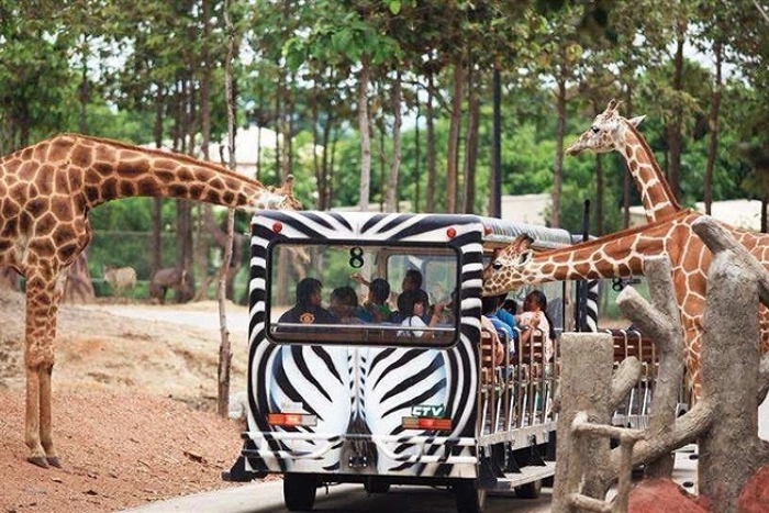 Le climat de Chiang Mai en avril reste id&eacute;al pour les activit&eacute;s en plein air