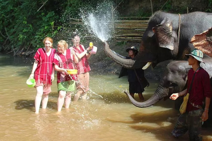 Kerchor Elephant Eco Parc, une destination incontournable à visiter à Chiang Mai en avril
