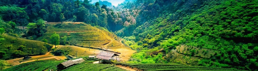 Que faire &agrave; Chiang Mai en avril ?