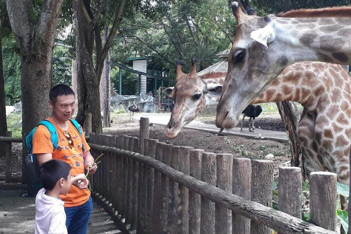 Visiter le zoo et l'aquarium de Chiang Mai en famille est une activité incontournable pour les enfants