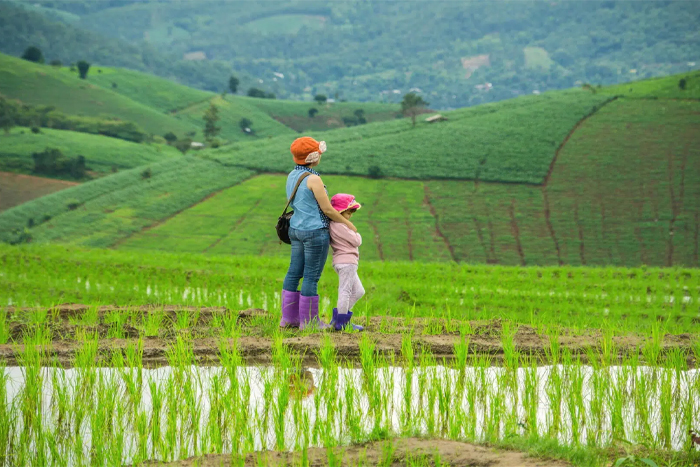 Chiang Mai est une destination incontournable pour les familles