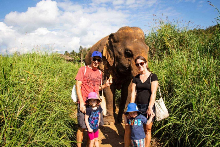 Sanctuaire d’éléphants éthique à Chiang Mai - une activité familiale incontournable pour les enfants