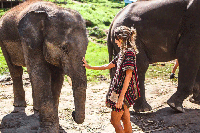 Passez du temps avec les éléphants à Chiang Mai