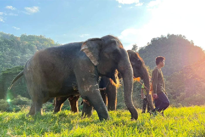 Trekking à Chiang Mai 