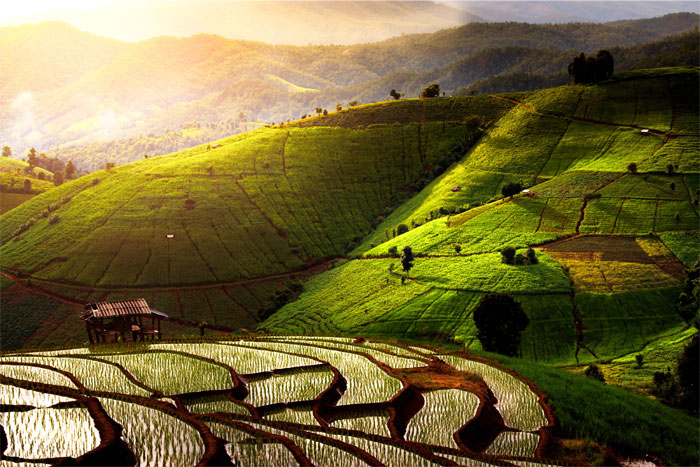 Des paysages variés et époustouflants à Chiang Mai