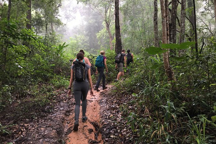 Parc National de Doi Suthep-Pui