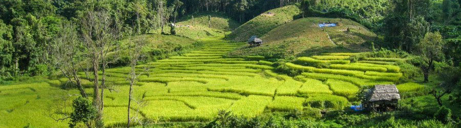 Découvrez Les Meilleures Destinations Pour Faire Du Trek à Chiang Mai