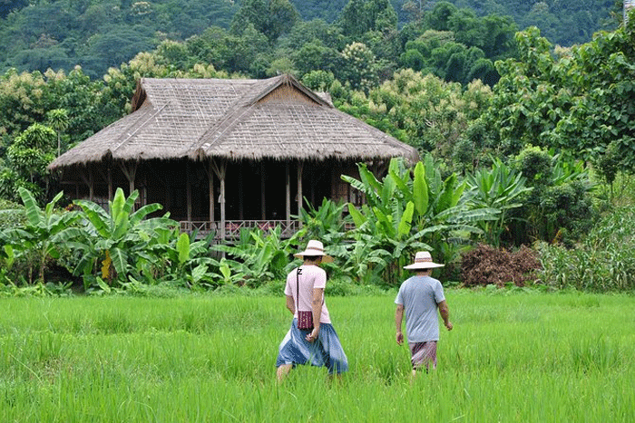 Comment vivre comme les habitants à Chiang Mai ?