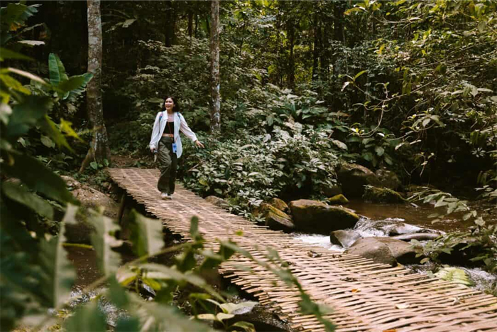 Randonnée dans la jungle