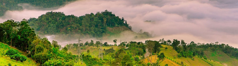 Chiang Rai ou Chiang Mai: Quelle destination choisir pour votre voyage?