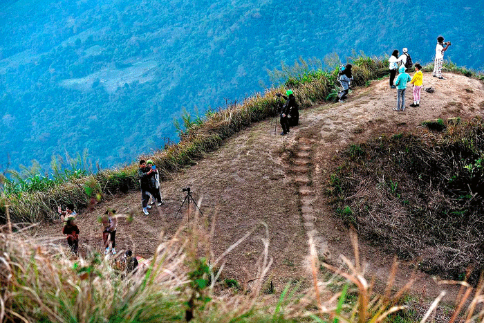 Randonnées et immersion dans la nature à Doi Mae Salong Chiang Rai