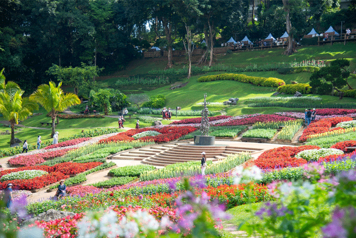 Le jardin Mae Fah Luang