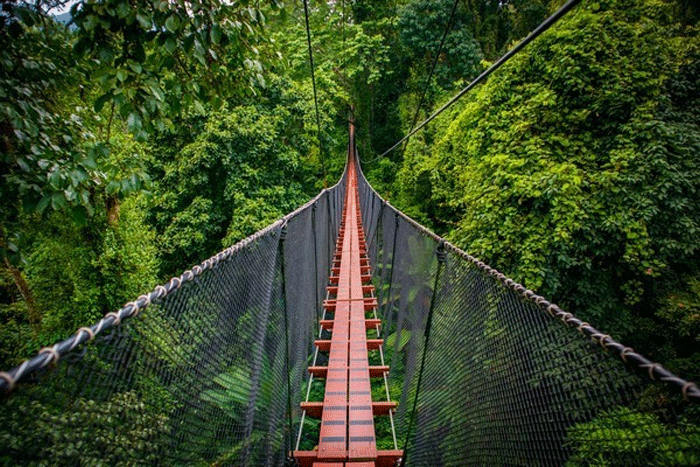 Que faire à Doi Tung Chiang Rai?