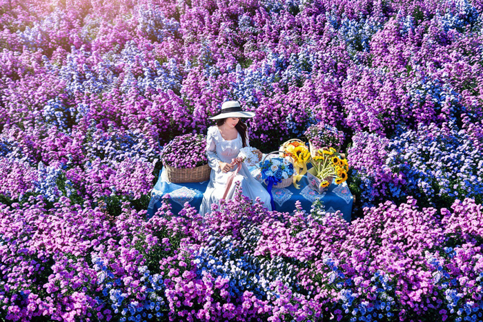 Festival des fleurs de Chiang Rai