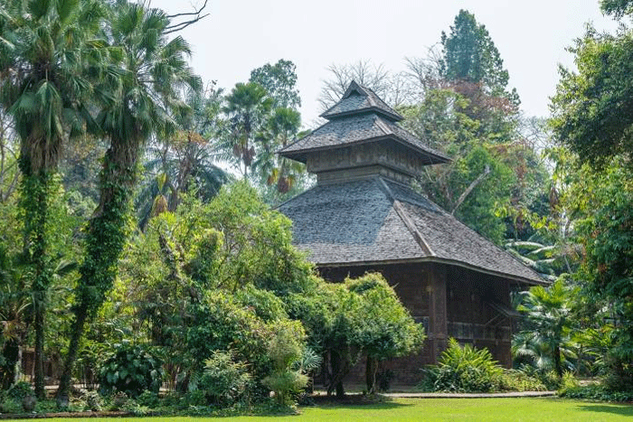 Que voir dans le parc culturel et artistique Mae Fah Luang?