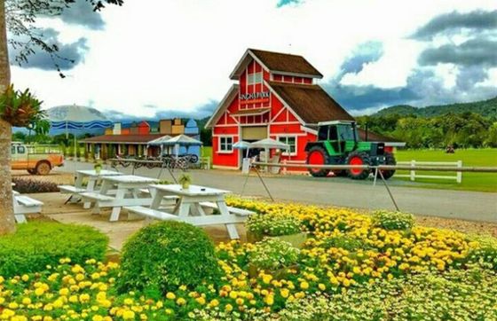 Parc Singha à Chiang Rai: Un Parc à Ne Pas Manquer Pour Votre Voyage