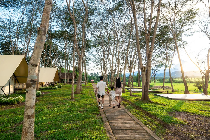 Que faire et que voir au Parc Singha à Chiang Rai ?