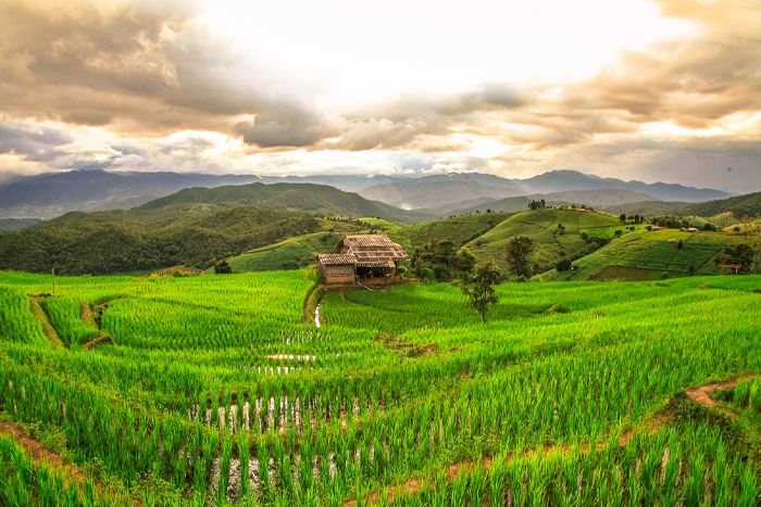 Saison des pluies à Chiang Rai