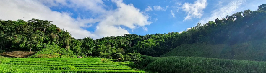 Que Faire à Chiang Rai Thaïlande Quand Il Pleut?