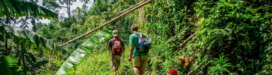 Découvrez les meilleures destinations pour faire du trek à Chiang Rai