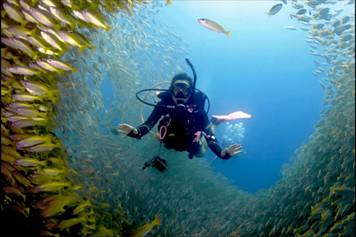 Journée de plongée à Phi Phi Don 