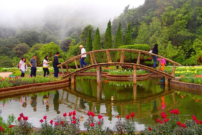 Parc national de Doi Inthanon - Chiang Mai 