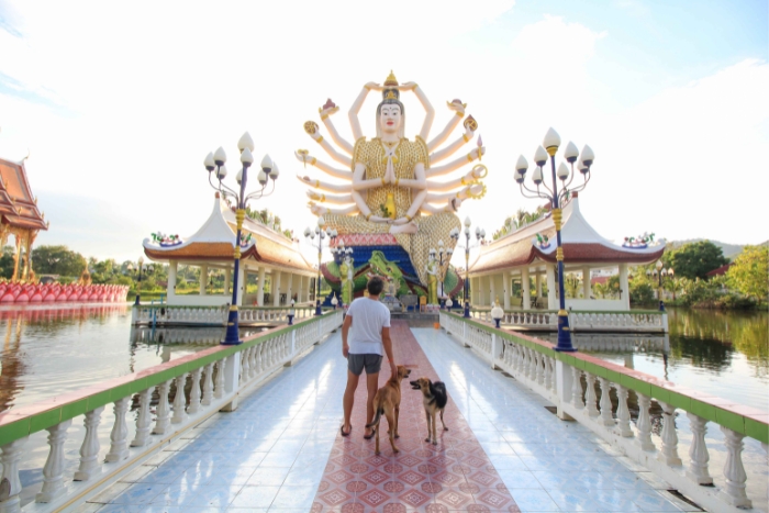 Comment r&eacute;ussir 2 semaines en Tha&iuml;lande avec son chien ?