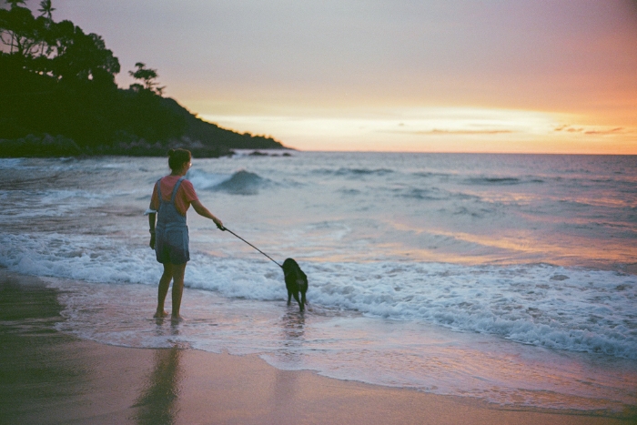 Profiter de la plage de Kata lors d’une Thaïlande 2 semaines avec son chien