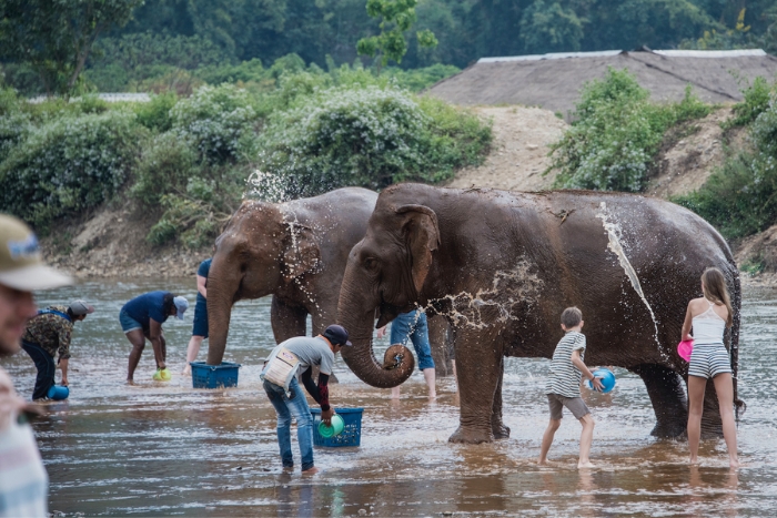 Elephant Nature Park dans votre voyage Tha&iuml;lande pas cher avec des enfants 