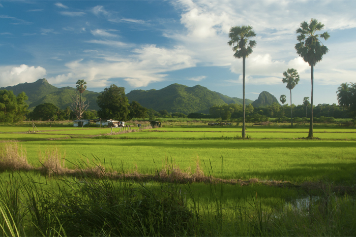 Explorer la campagne de Kanchanaburi