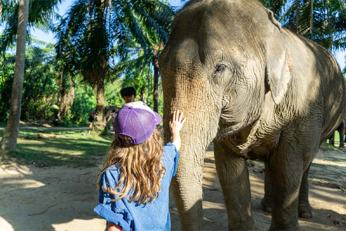 Activités à Kanchanaburi avec des enfants