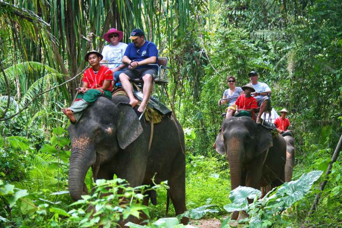 Une des choses à faire avec les enfants pendant 1 semaine à Koh Samui, c’est la balade à dos d’éléphant à travers la forêt tropicale